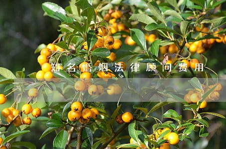 知名婚姻法律顾问费用 知名婚姻法律顾问费用