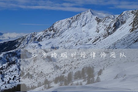 知名婚姻纠纷律师团队 知名婚姻纠纷律师团队