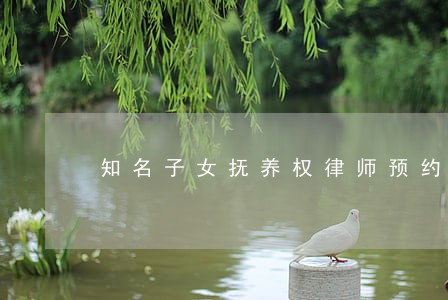 知名子女抚养权律师预约电话 知名子女抚养权律师预约电话