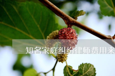 知名家庭纠纷律师费用来电洽谈 知名家庭纠纷律师费用来电洽谈