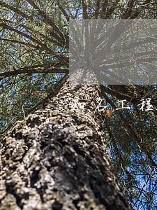 知名工程律师费要多少 知名工程律师费要多少