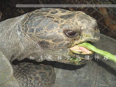 知名工程欠款律师推荐 知名工程欠款律师推荐