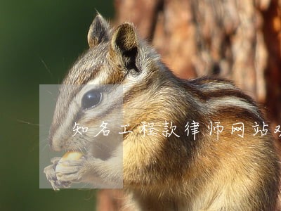 知名工程款律师网站欢迎咨询 知名工程款律师网站欢迎咨询