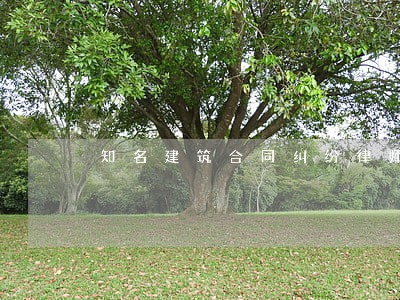知名建筑合同纠纷律师 知名建筑合同纠纷律师