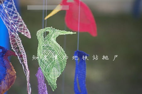 知名律师地铁站抛尸 知名律师地铁站抛尸