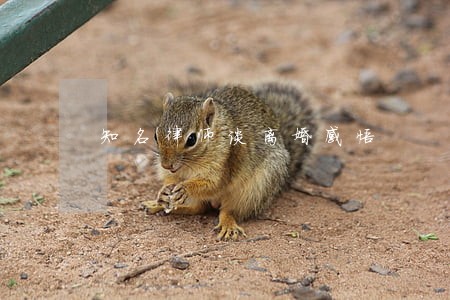 知名律师谈离婚感悟 知名律师谈离婚感悟