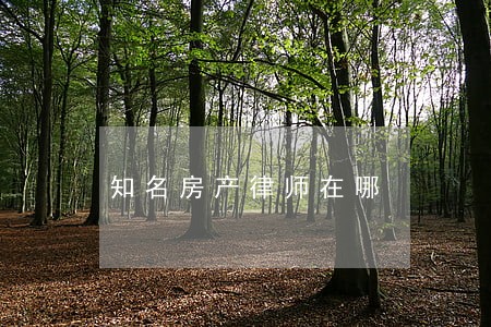 知名房产律师在哪 知名房产律师在哪