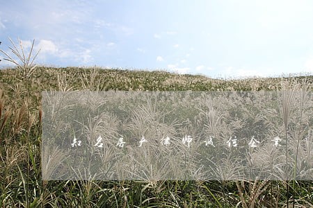 知名房产律师诚信企业 知名房产律师诚信企业