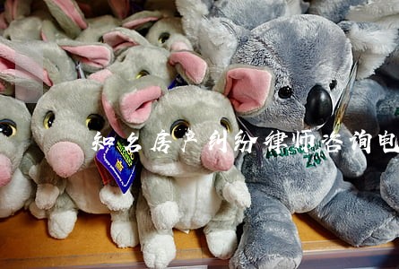 知名房产纠纷律师咨询电话