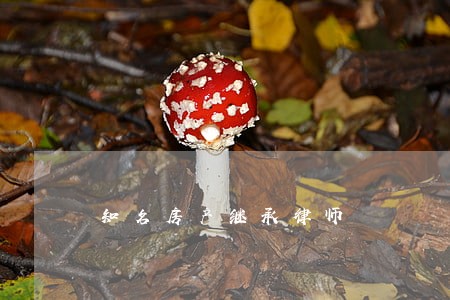 知名房产继承律师