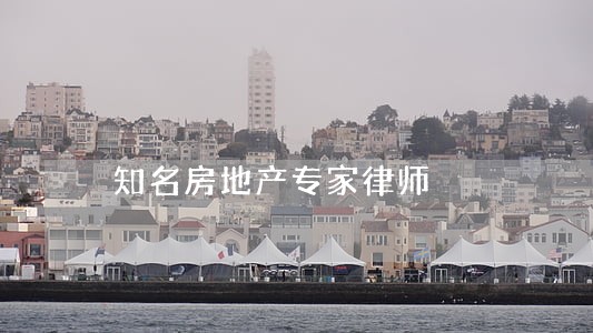 知名房地产专家律师