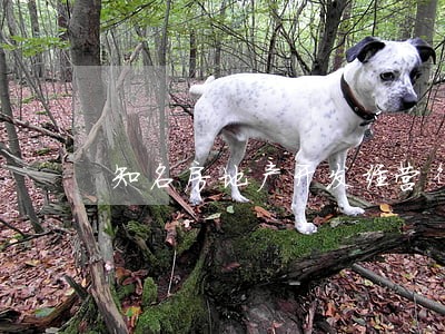 知名房地产开发经营律师怎么样 知名房地产开发经营律师怎么样