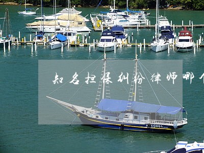 知名担保纠纷律师哪个好 知名担保纠纷律师哪个好