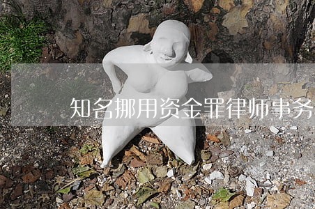 知名挪用资金罪律师事务所 知名挪用资金罪律师事务所