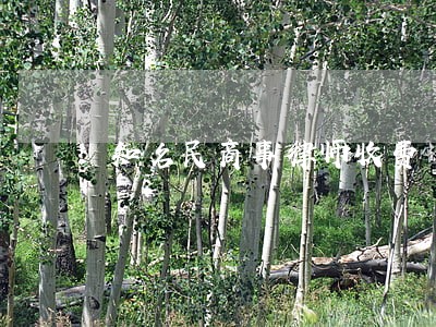 知名民商事律师收费 知名民商事律师收费