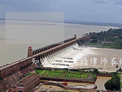 知名涉外离婚律师在线咨询 知名涉外离婚律师在线咨询