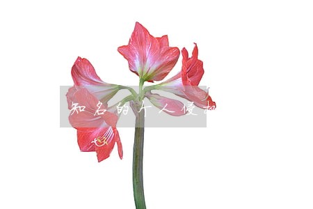 知名的个人侵权律师咨询平台 知名的个人侵权律师咨询平台