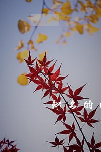 知名的南京债务纠纷律师排名 知名的南京债务纠纷律师排名