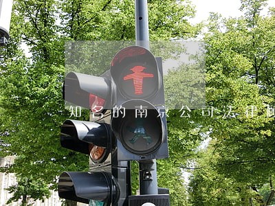 知名的南京公司法律顾问 知名的南京公司法律顾问
