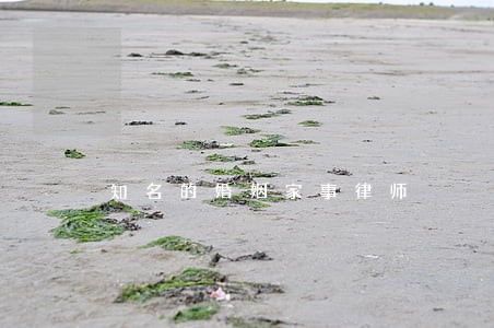 知名的婚姻家事律师 知名的婚姻家事律师