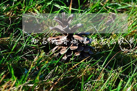 知名的婚姻律师怎么收费 知名的婚姻律师怎么收费