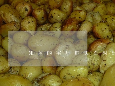 知名的宅基地买卖纠纷律师 知名的宅基地买卖纠纷律师