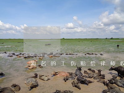知名的工伤赔偿律师收费 知名的工伤赔偿律师收费