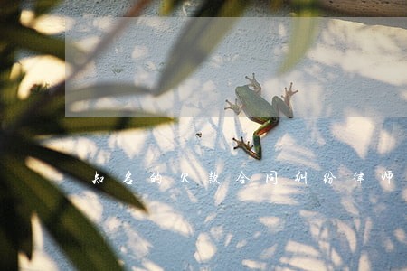 知名的欠款合同纠纷律师价钱 知名的欠款合同纠纷律师价钱