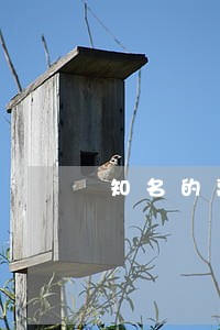 知名的离婚纠纷律师咨询律所 知名的离婚纠纷律师咨询律所