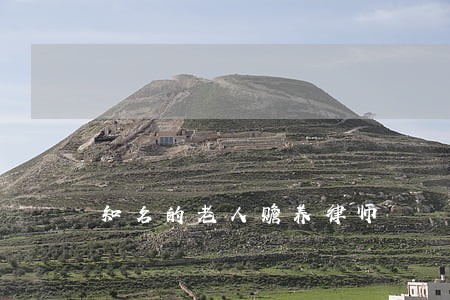 知名的老人赡养律师