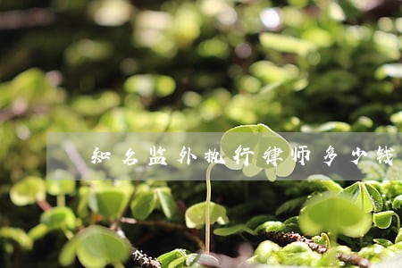 知名监外执行律师多少钱欢迎来电 知名监外执行律师多少钱欢迎来电