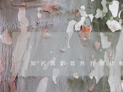 知名离婚债务分割律师价格 知名离婚债务分割律师价格
