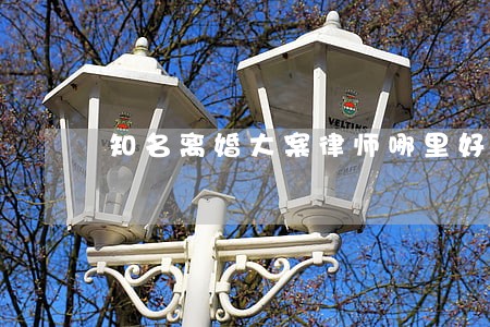 知名离婚大案律师哪里好 知名离婚大案律师哪里好