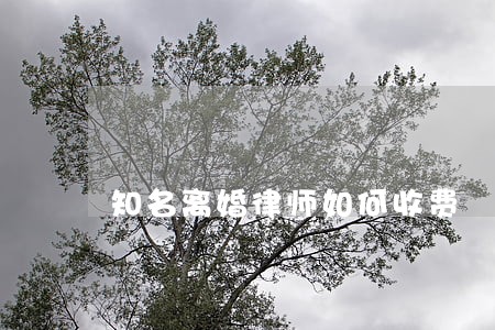 知名离婚律师如何收费 知名离婚律师如何收费
