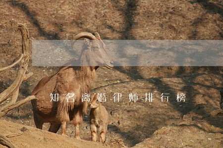 知名离婚律师排行榜 知名离婚律师排行榜