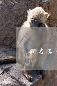 知名离婚律师法律咨询 知名离婚律师法律咨询