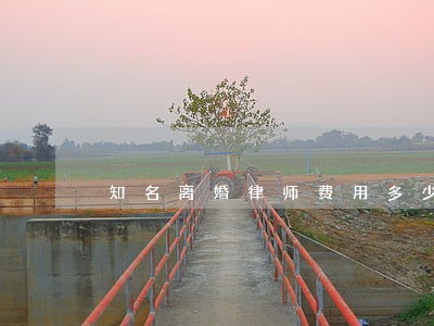 知名离婚律师费用多少 知名离婚律师费用多少