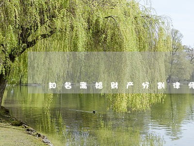知名离婚财产分割律师咨询热线 知名离婚财产分割律师咨询热线