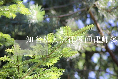 知名私人法律顾问律师多少钱 知名私人法律顾问律师多少钱