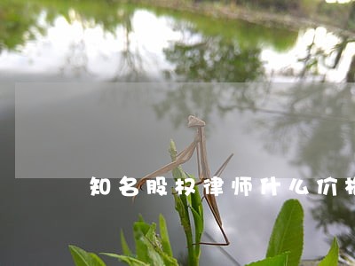 知名股权律师什么价格