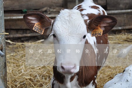 知名股权律师免费法律咨询