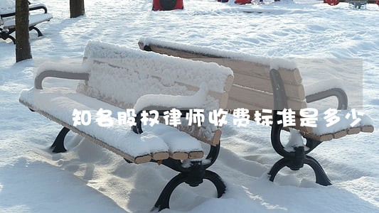 知名股权律师收费标准是多少 知名股权律师收费标准是多少