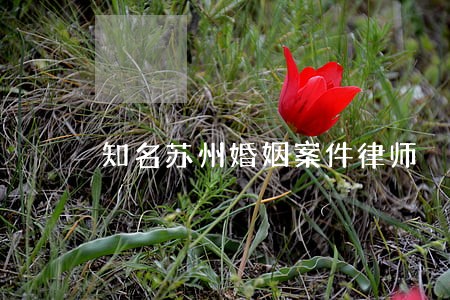 知名苏州婚姻案件律师 知名苏州婚姻案件律师