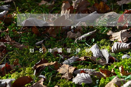 知名诈骗罪律师电话 知名诈骗罪律师电话