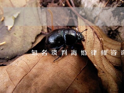 知名谈判离婚律师咨询服务 知名谈判离婚律师咨询服务