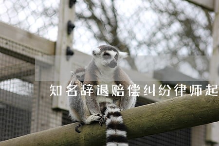 知名辞退赔偿纠纷律师起诉费用 知名辞退赔偿纠纷律师起诉费用