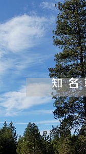 知名重大刑事案律师法律咨询