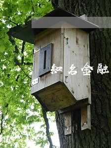 知名金融法律律师法律咨询