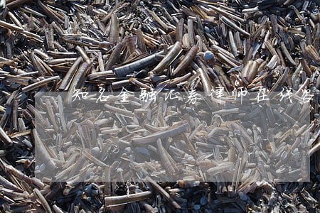 知名金融证券律师在线咨询 知名金融证券律师在线咨询