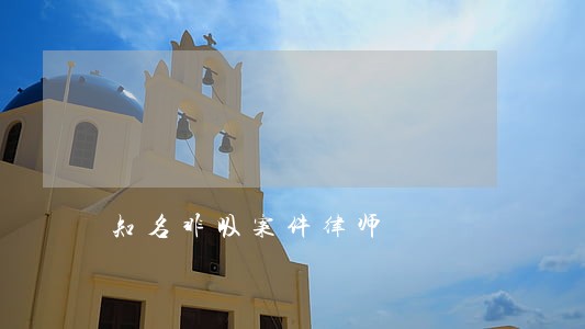 知名非吸案件律师 知名非吸案件律师